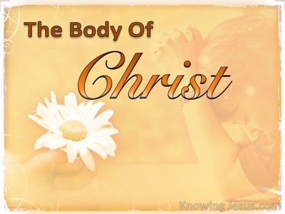 1 Corinthians 12:27 The Body of Christ (devotional)06:09 (orange)